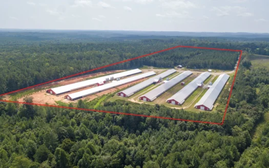 Modern Active 6 House Chicken Farm in Central North Carolina