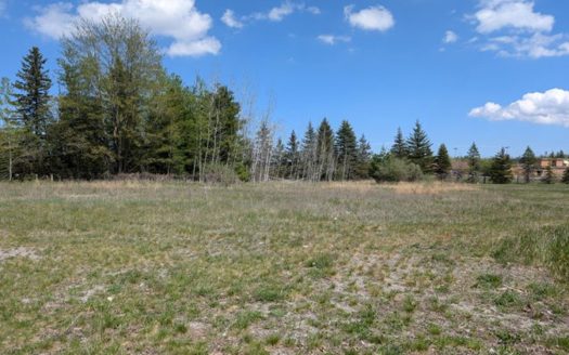 Vacant Commercial Lot For Sale — Village of Hillman, MI