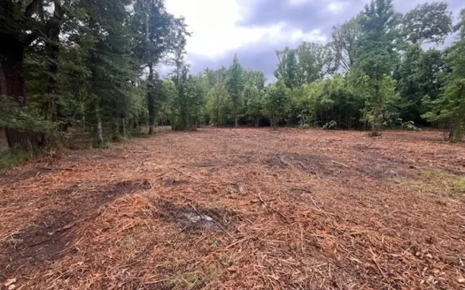 10.82 Prime Commercial Property in Raymond, MS