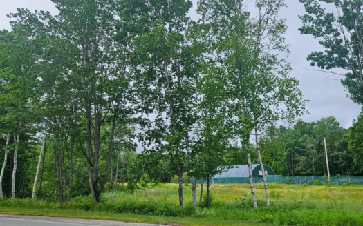 Intown Buildable Lot in Millinocket, Maine