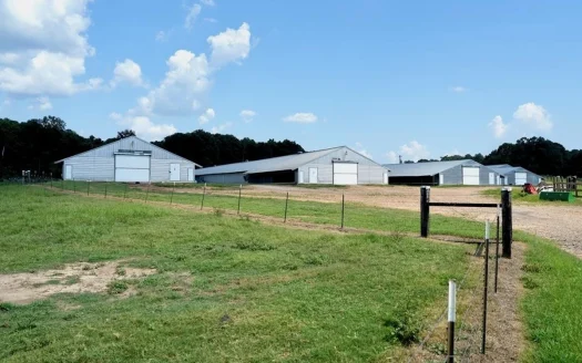 Upgraded Poultry Farm in Lena, MS on 40 Acres for Sale
