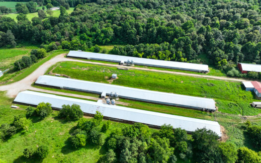 Poultry farm for sale near Calhoun Ky.