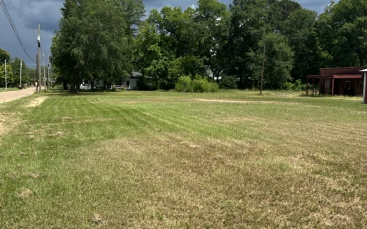Vacant land in the heart of Atlanta Texas