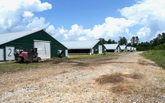 Turnkey Poultry Farm in Heidelberg MS with 12 Houses