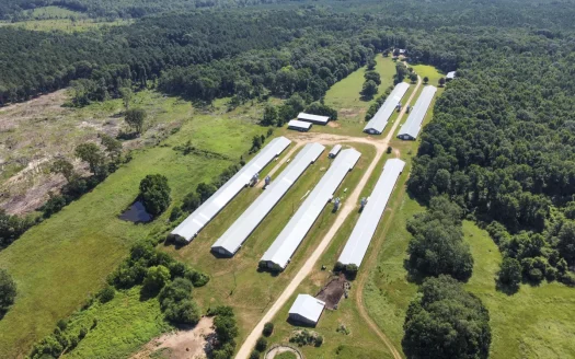 Poultry Farm For Sale In Dubach La On 29 Acres