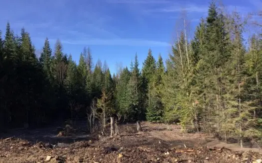 Investment Land for Sale in Sandpoint, ID