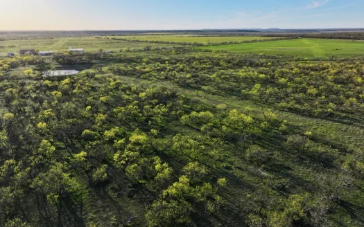 High Fence Game Ranch For Sale In Coleman Texas