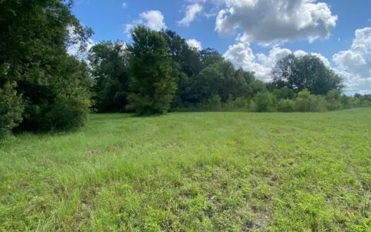 52.6 Acres in Sunset, LA – Development or Private Estate Opportu