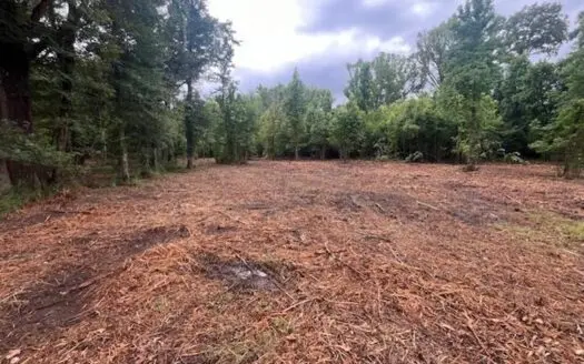 10.82 Prime Commercial Property in Raymond, MS