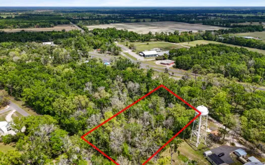 Commercial Property Adjacent To Fanning Springs State Park