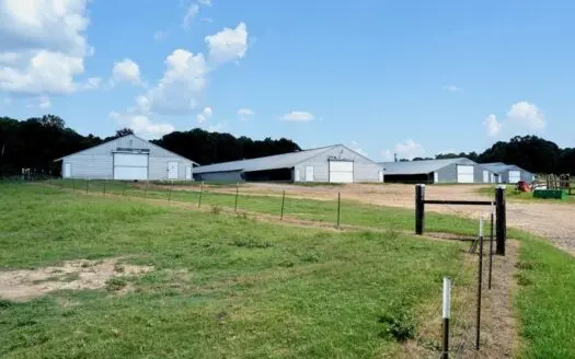 Upgraded Poultry Farm in Lena, MS on 40 Acres for Sale