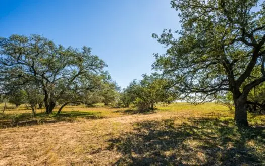 Prime 35+/- ac in Pleasanton, TX