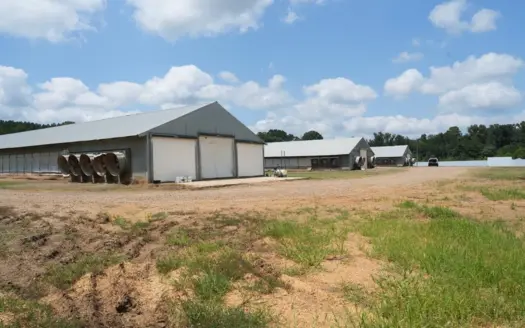 Poultry Turnkey 3 house Breeder Farm Mississippi