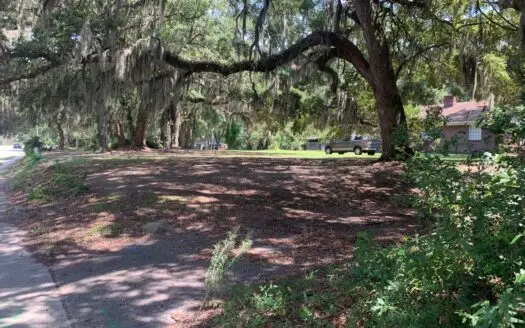 High Traffic Mixed use property