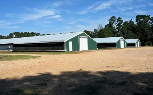 MS Poultry Broiler Farm with House and Tractor Equipment
