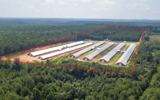 Modern Active 6 House Chicken Farm in Central North Carolina