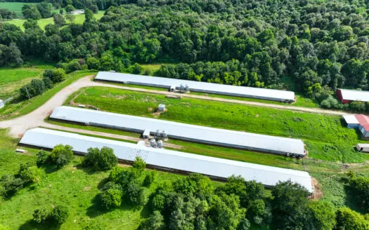 Poultry farm for sale near Calhoun Ky.