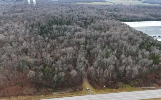 56.5 Acres for Sale In Santa Claus near Christmas Lake