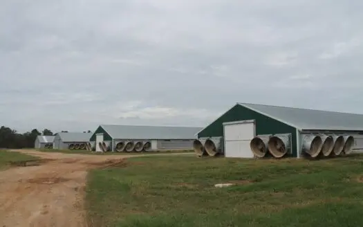 Profitable Poultry Farm For Sale in Quitman, GA