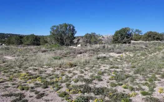 For Sale Edgewood NM Investment Commercial Development Land