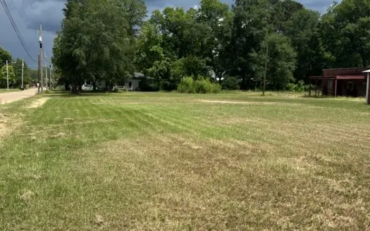 Vacant land in the heart of Atlanta Texas