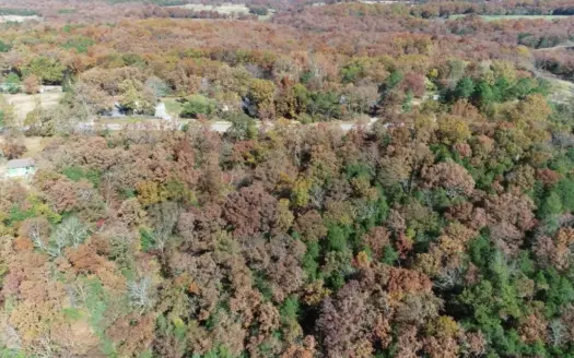 Commercial or Residential Land on Hwy 76 near Branson. MO