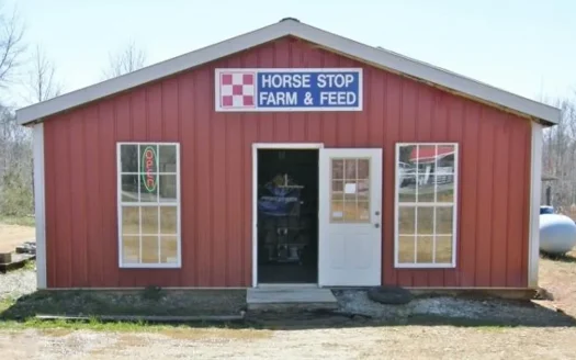 Commercial Property for Sale in Lewis County, Tennessee