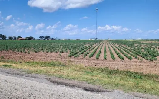 Farmland near San Angelo, Texas in Wall
