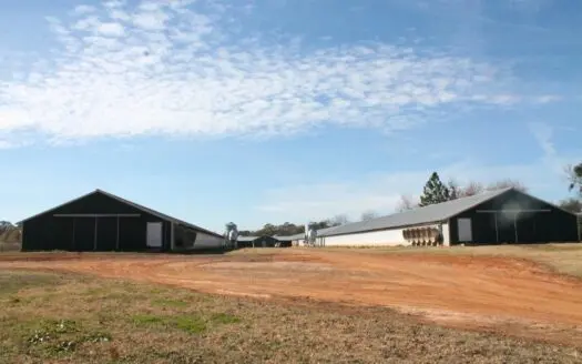 Profitable Poultry Breeder Farm with 41+ Acres and Home