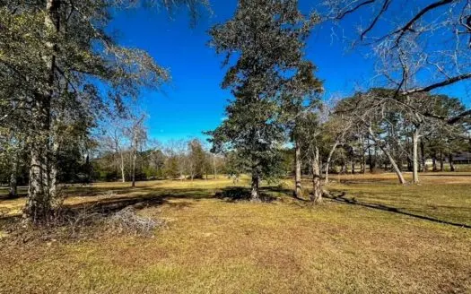 Prime 2-Acre Commercial Lot in Summit, MS