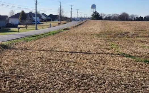 32.4 acres of developmental land for sale near Portland Tn.