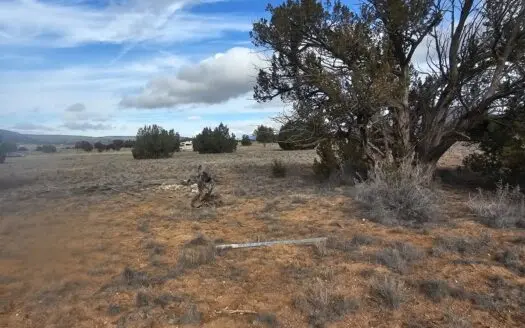 Land in Seligman on Pavement in Bridge Canyon