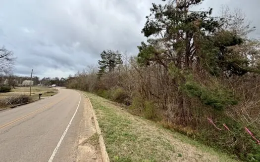 Great Land w/ Multiple Uses in Alcorn Co., Farmington, MS