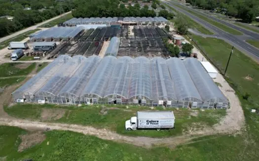 Brilliant Colors of Texas Plant Nursery Business For Sale