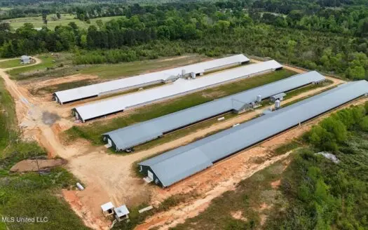 Collins, MS Poultry Pullet Farm for Sale