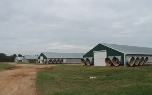Profitable Poultry Farm For Sale in Quitman, GA