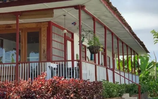 Beautiful Farm for Sale in Montenegro, QuindÃo