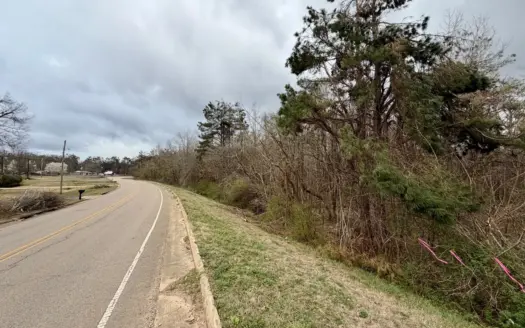 Great Land w/ Multiple Uses in Alcorn Co., Farmington, MS
