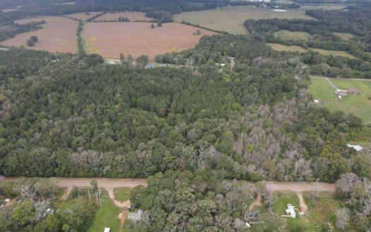 Highway 35 Land for Sale, Forest, Scott County MS
