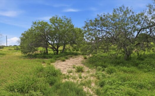 South Texas Development Property Near Three Rivers, Texas