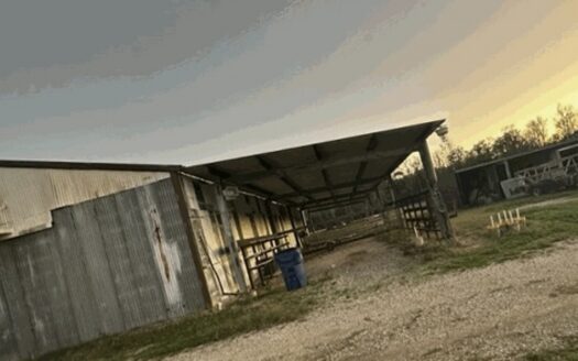 Income-Producing Commercial Investment Opportunity In Orange Tx