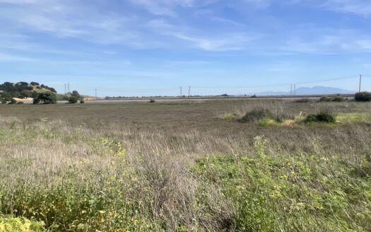 14+/- acre Vacant Parcel For Sale in Fairfield, California