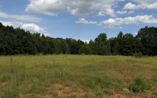 Commercial and Residential Land For Sale Near BMW In Upstate SC