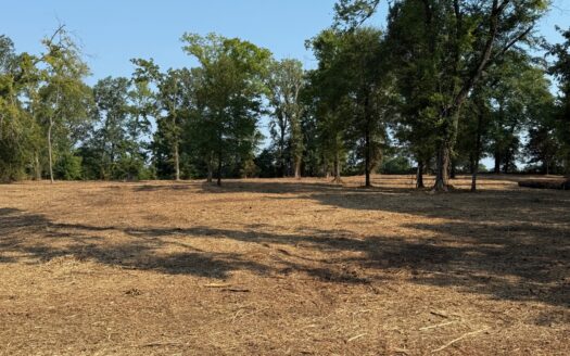 Commercial Development Land in Redwater TX For Sale