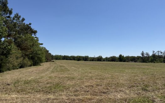Land For Sale In Tn, Open Land, Hwy Rd Frontage, 3 Acre±