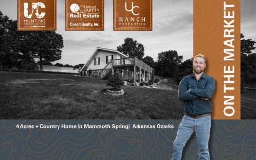 Country Home for sale in Mammoth Springs | The Arkansas Ozarks