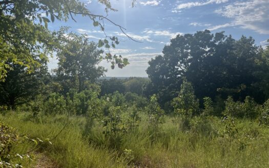 38.72 Acres On Hwy 82/412 To Develop Or Build S. Of Locust Grove