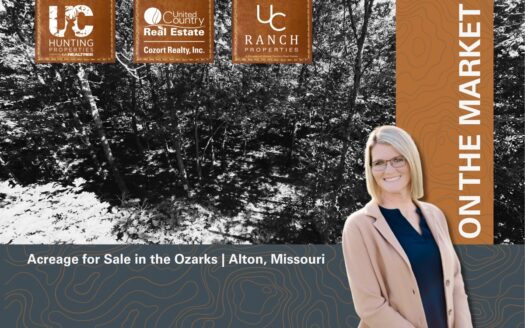 Acreage for Sale in the Ozarks | Alton, Missouri