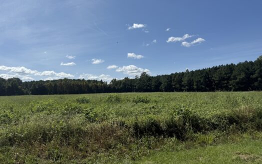 5 Acres for Sale on Highway 33 Near Chocowinity, NC
