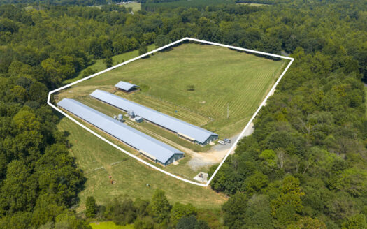 Turnkey Income-Producing Layer Farm with Active Contract